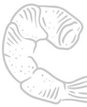 prawn decoration